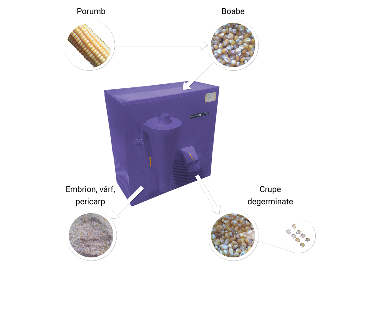 Flux de producție | de la bob la produs ambalat