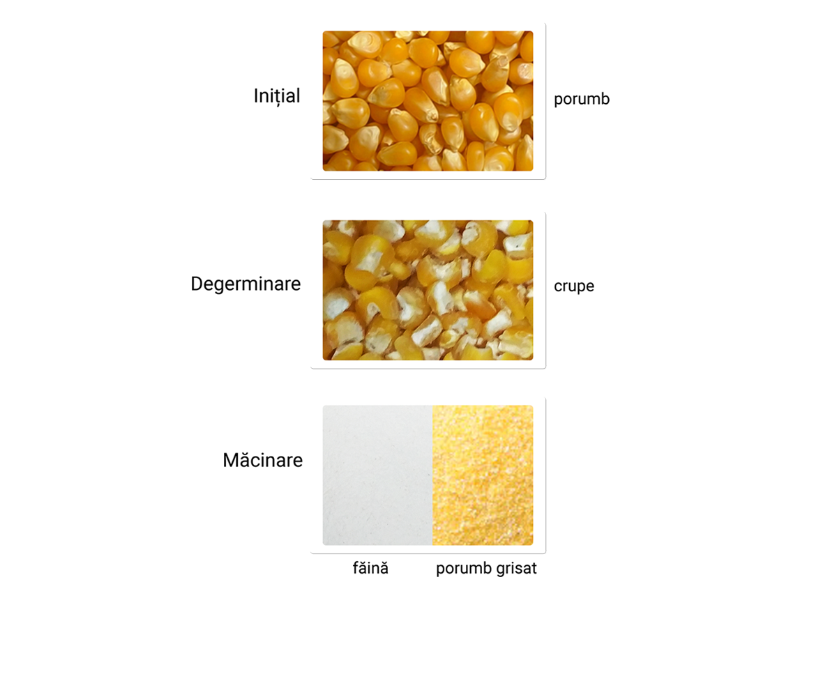 Rezultate | mălai grisat, făină, tărâțe, furaj