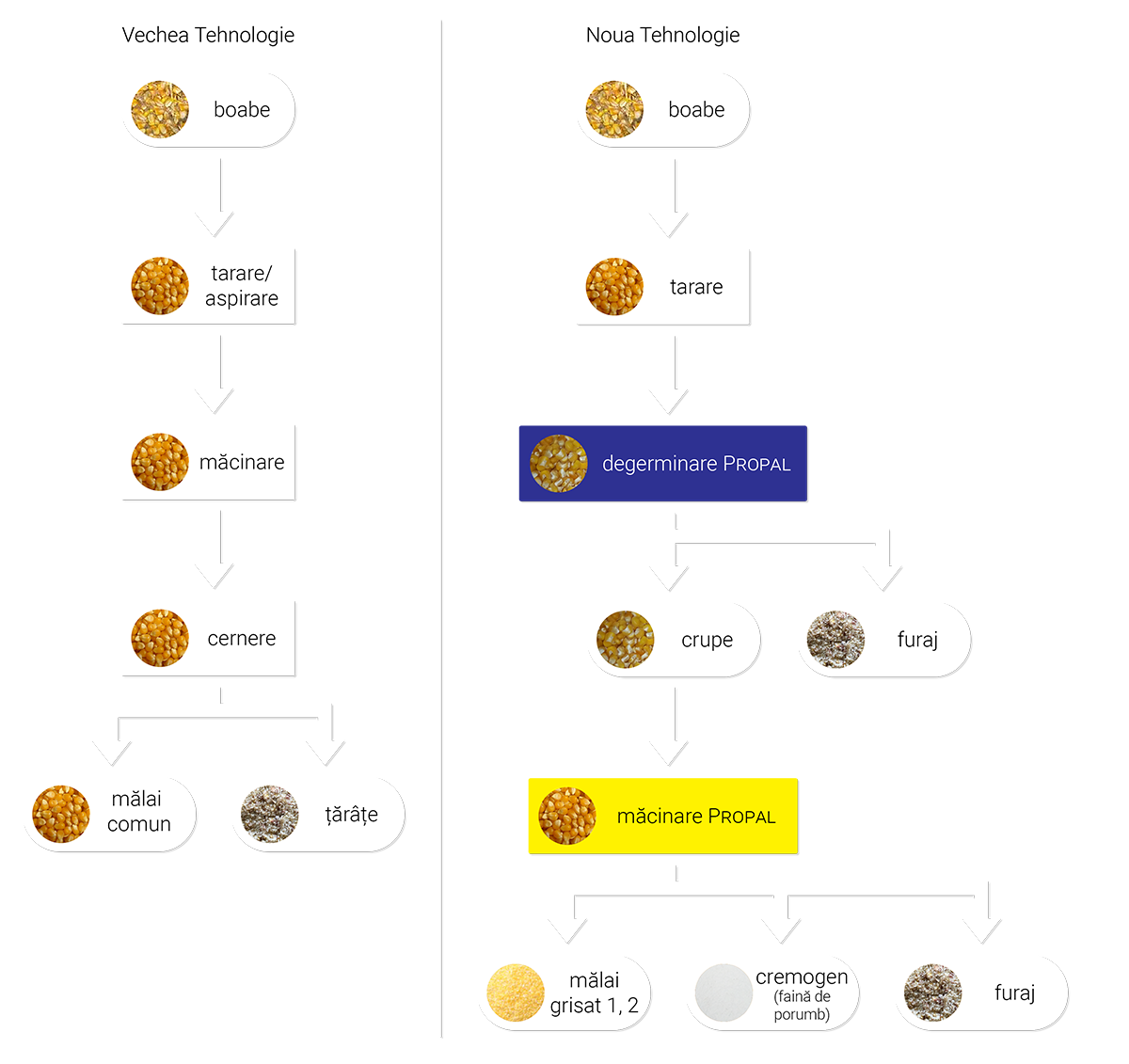 Comparație între tehnologia clasică și procesarea cu degerminare